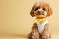 Adorable brown Maltipoo puppy wearing white vest and yellow bow tie sits attentively against warm beige background, groomed and styled for pet fashion photography.