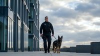 Male security guard with German Shepherd dog patrolling modern office building exterior during cloudy evening hours for professional safety services.