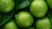 Fresh green limes with water drops and leaves, macro shot showing citrus fruit texture and natural moisture on bright surface, food background.