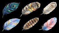 Feathers isolated on transparent background, ready for t-shirt design, clipart, stickers, sublimation and print-on-demand projects. Six detailed feather illustrations in various colors and styles.