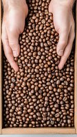 Hands holding fresh roasted coffee beans in wooden box, top view. Close up of aromatic brown coffee beans falling through fingers, showing quality and freshness.