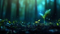 Young green sprout growing from soil in magical forest environment with glowing particles and dreamy bokeh lights in dark mysterious woodland setting.