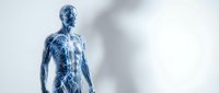 Transparent blue anatomical human figure showing nervous system and skeletal structure for medical education and healthcare presentations.