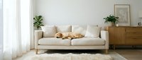 Cozy modern living room interior with beige sofa, wooden furniture, houseplants and natural light creating warm minimalist home decor atmosphere.