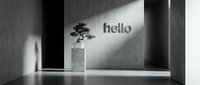Minimalist monochrome interior with bonsai tree on concrete pedestal and hello text on wall, sunlight casting dramatic shadows.