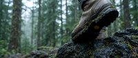 Close-up of hiking boot on moss-covered rock in misty forest. Outdoor adventure, trekking gear, nature exploration concept for active lifestyle content.