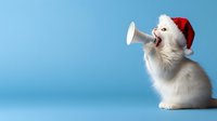 White cat wearing Santa hat holding megaphone against blue background. Funny holiday pet portrait concept for Christmas cards and seasonal marketing materials.