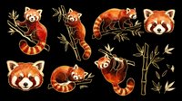 Red panda isolated on transparent background, ready for t-shirt design, clipart, stickers, sublimation and print-on-demand products. Multiple poses included.
