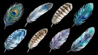 Feather collection featuring eight isolated watercolor designs in blue, teal, purple, and brown tones. Each feather is cut out on transparent background, ready for t-shirt designs, clipart, stickers, sublimation, and print-on-demand projects.
