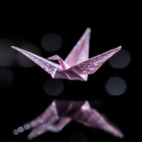 Pink origami paper crane with reflection on dark background, artistic bokeh lighting creates dreamy atmosphere. Symbolic peace and hope concept.