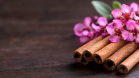 Aromatic cinnamon sticks with fresh pink spring blossom flowers on dark rustic wooden background, macro food photography for culinary and spa designs.