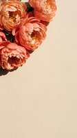 Coral peony flowers arranged in corner on beige background with copy space for text, perfect for social media and greeting cards.