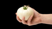 Caucasian hand holding a fresh white tomato with green stem, isolated on transparent background. Ready for clipart, t-shirt design, print-on-demand products, stickers, and sublimation projects.