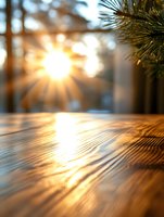 Sunlight streaming through pine branches creates golden rays reflecting off wooden surface, with soft bokeh effect and warm sunset glow in forest background.