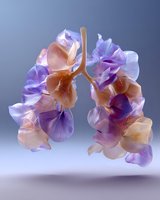 Artistic representation of human lungs created with delicate peach and purple flower petals, floating against soft gradient background, symbolizing respiratory health.