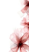 Delicate translucent pink flowers with soft petals on white background, watercolor style abstract floral composition for wedding stationery and feminine designs.