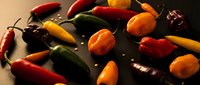 Colorful assortment of fresh hot chili peppers including habanero, jalapeño and cayenne varieties scattered on dark surface for spicy cooking ingredients.