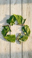 Circular arrangement of fresh green leaves and fern fronds on weathered wooden planks, ideal for nature, ecology, and environmental design projects.