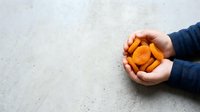 Child holding fresh orange citrus fruits in cupped hands against concrete surface, overhead view for food, agriculture, and healthy eating concepts.