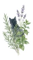 Dark cat peeking through lavender, rosemary and mint herbs on white background. Isolated botanical illustration for design projects.