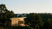 Modern wooden cabin nestled among tall evergreen trees during golden hour, featuring minimalist architecture with large windows and natural wood siding for contemporary home design inspiration.