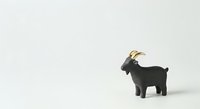 Isolated black goat figurine with golden horns on white background, ready for design projects, clipart, and commercial applications.