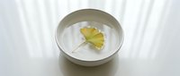 Minimalist white ceramic bowl with yellow ginkgo leaf floating in clear water on white fabric background for spa wellness meditation zen decor.
