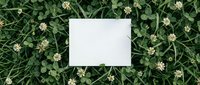 Blank white card mockup on green clover field with small flowers for branding design templates and natural organic product presentations.