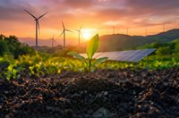 Young green plant seedling growing in fertile soil with wind turbines and solar panels at golden sunset representing sustainable renewable energy future.