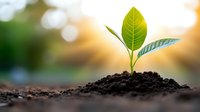 Young green plant seedling growing from fertile soil against blurred natural bokeh background at sunrise, representing growth, new beginnings and hope.