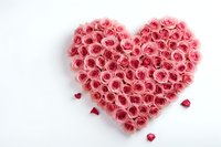 Pink roses arranged in heart shape on white background with scattered petals, romantic floral composition for Valentine's Day, wedding or anniversary celebration.