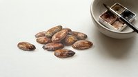 Roasted cacao beans scattered on white surface with ceramic bowl containing cocoa powder and nibs for chocolate production and culinary use.