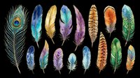 Feather collection featuring peacock, bird, and decorative plumes in vibrant watercolor styles, isolated on transparent background. Ready for t-shirt designs, clipart, stickers, sublimation, and print-on-demand projects.