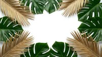 Tropical palm leaves and monstera foliage frame creating natural border on white background for summer vacation design projects and botanical themes.