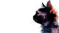 Black cat profile with artistic watercolor splash effect in coral and blue tones on white background, isolated design element for creative projects.