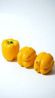 Three fresh yellow bell peppers arranged in a row on white background, isolated and ready for culinary, food styling, and recipe design projects.