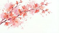 Delicate pink cherry blossom branch with soft watercolor flowers and scattered petals on white background for spring designs and romantic projects.