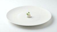 White ceramic plate with small green microgreens garnish on clean minimalist background for culinary presentation and fine dining concepts.