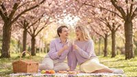 Young couple enjoying spring picnic under blooming cherry blossom trees, sitting on grass with basket and food, perfect for lifestyle, romance, and seasonal content.