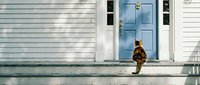 Small dog sitting on front porch steps of white colonial house with blue door and sidelights, residential neighborhood setting with natural shadows.