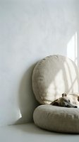 Cozy tabby cat sleeping peacefully on beige linen cushion in minimalist white interior with natural sunlight creating calm atmosphere for relaxation.