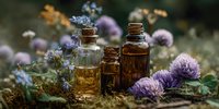 Essential oils in glass bottles with dried lavender flowers and herbs on rustic wooden surface for aromatherapy and natural wellness treatments.