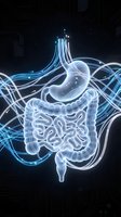 Glowing digestive system with stomach and intestines connected by luminous blue neural pathways on dark tech background, suitable for medical education and healthcare presentations.