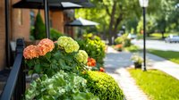 Blooming hydrangeas in peach and lime green colors decorate outdoor cafe terrace with black umbrellas, stone pathway and lush garden landscaping on sunny summer day.