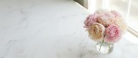Soft pink peonies in glass vase on white marble surface near window with natural light for feminine home decor and floral arrangements.
