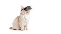 Cream colored cat wearing VR headset sitting on white background, modern technology concept for digital innovation and virtual reality gaming applications.