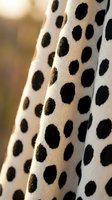 Polka dot patterned hosiery with black spots on cream fabric, close-up detail shot with warm natural lighting and soft blurred background.