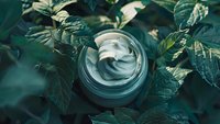 Natural cosmetic cream jar nestled among fresh green leaves, showcasing organic skincare product with swirled texture in soft, moody lighting.