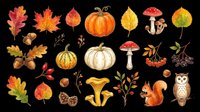 Autumn harvest collection with isolated fall leaves, pumpkins, gourds, mushrooms, acorns, berries, and woodland creatures on transparent background. Ready for t-shirts, clipart, stickers, and print-on-demand designs.