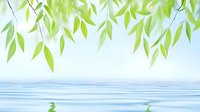 Fresh green willow leaves hanging over calm blue water surface with gentle ripples, creating peaceful zen atmosphere for wellness and spa designs.